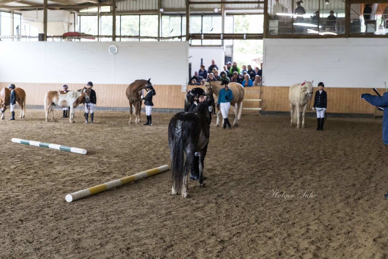 Bild 36 - Pony Akademie Turnier